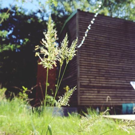 Hotel Tiny House Nouvelle Annonce Boho Ocean Naujac-sur-Mer Esterno foto